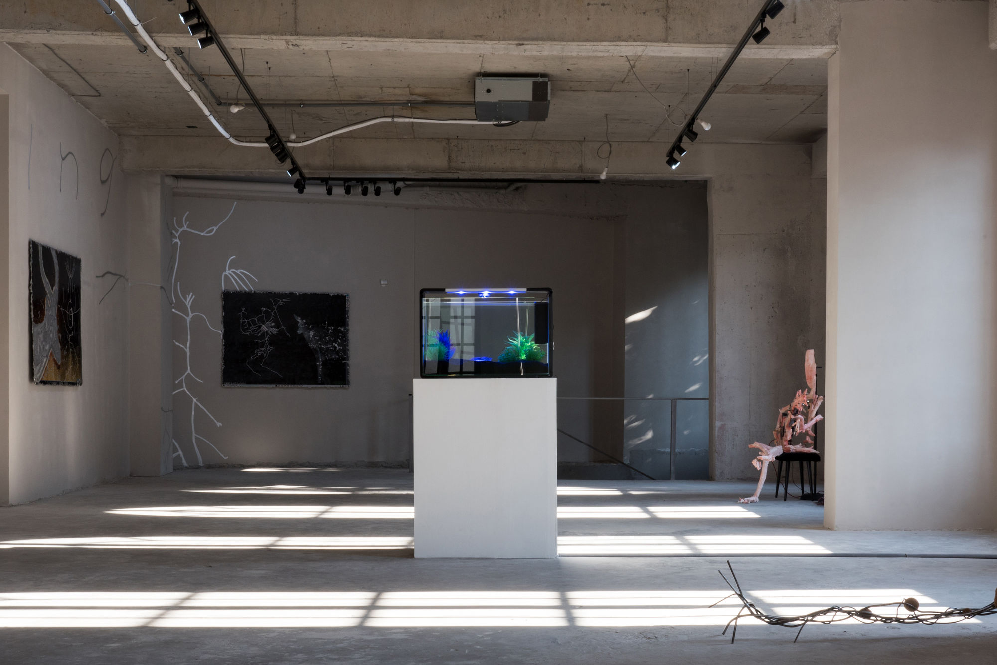 LIVING CONTENT: UNDER PRESSURE