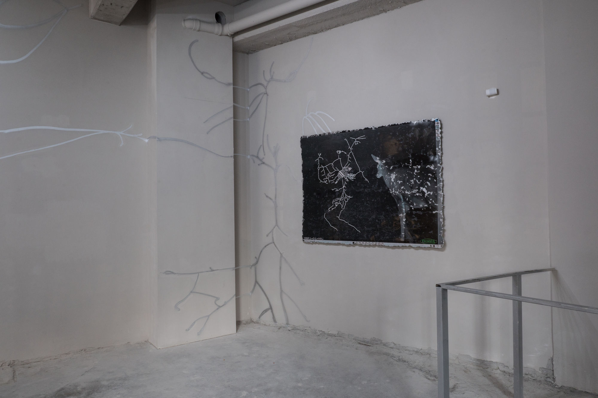 LIVING CONTENT: UNDER PRESSURE