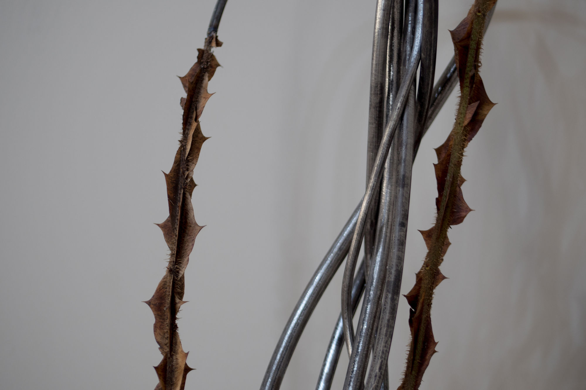 LIVING CONTENT: UNDER PRESSURE