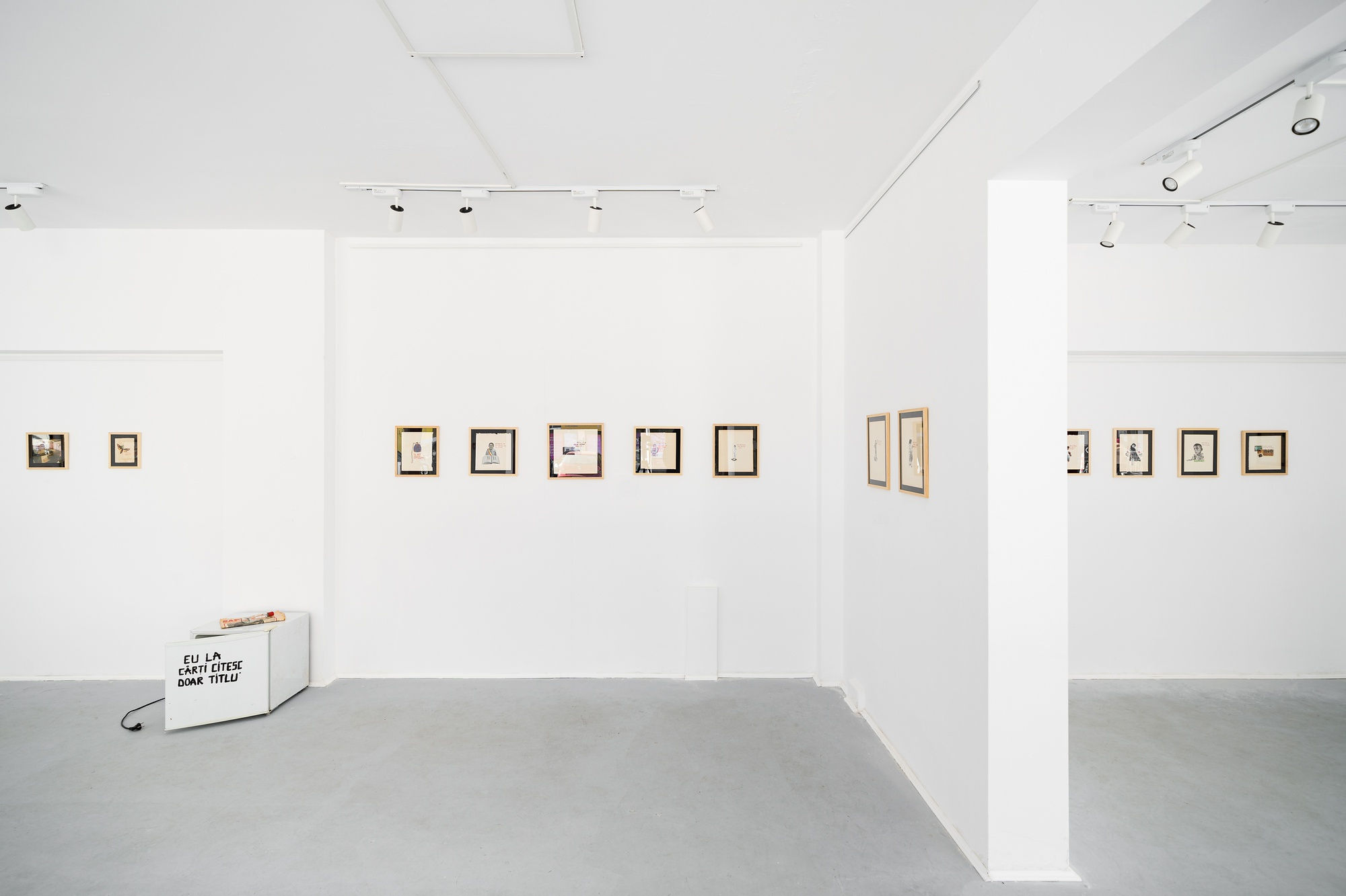 CE SUNT ALEA SUFERINȚI