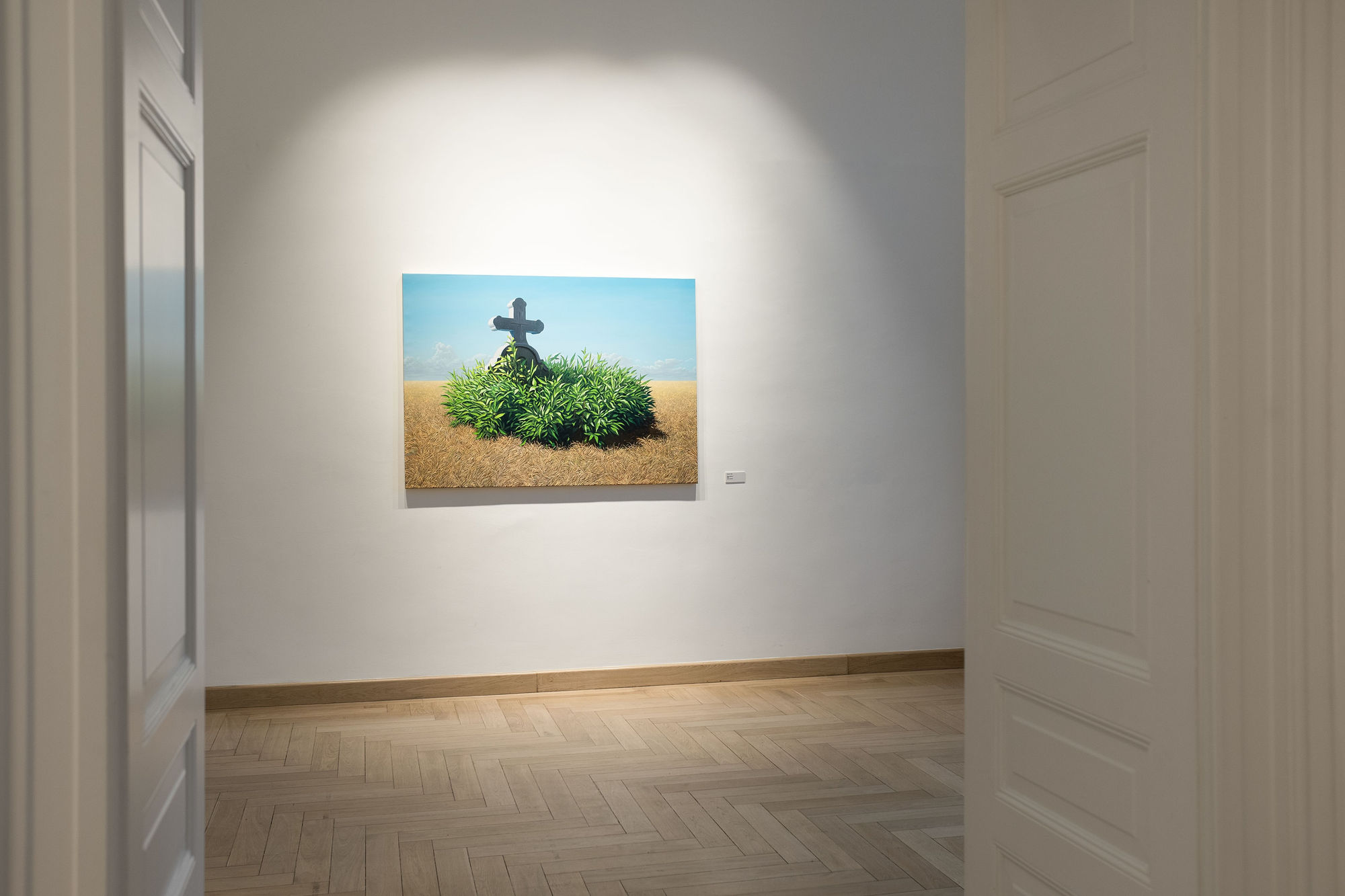 'NEW HOPE' in Brașov