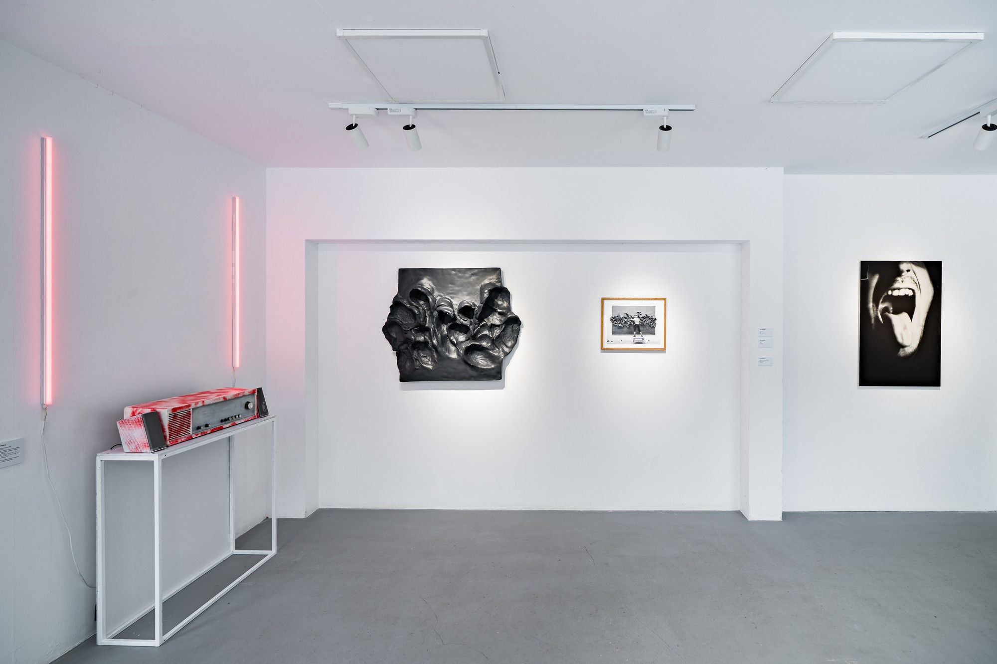 CONCRETE LOVE: CICIREAN AND RUS COLLECTION