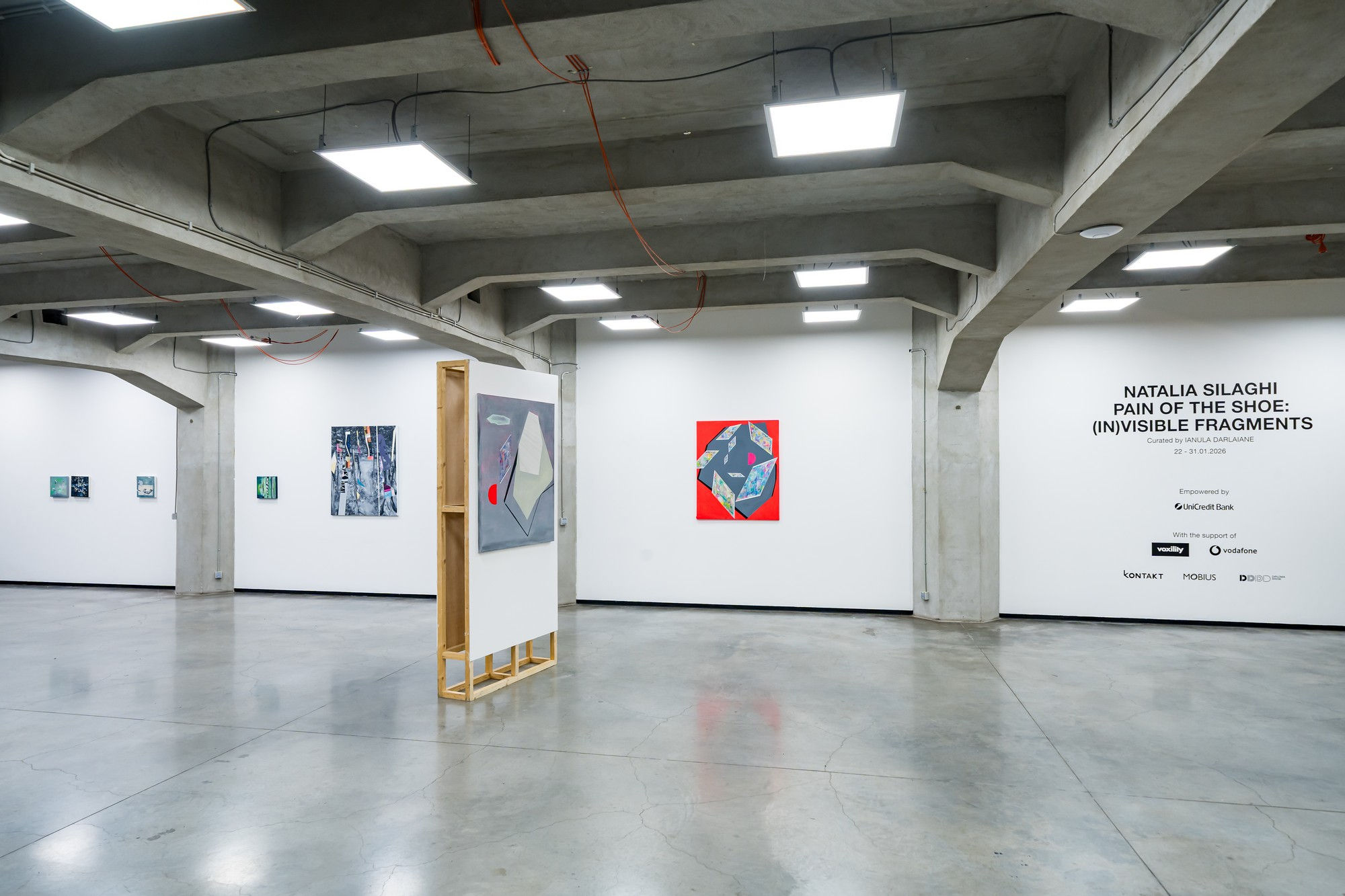 Pain of the Shoe: (In) visible Fragments