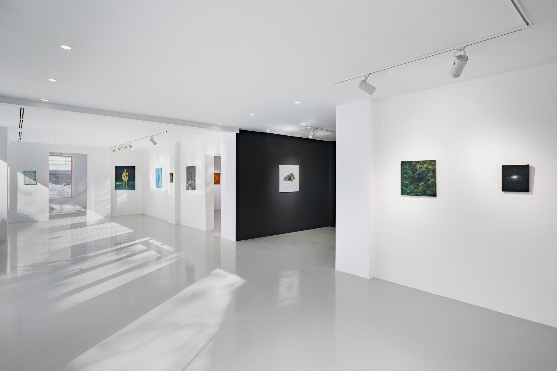 Andrei Gamarț: Chimera