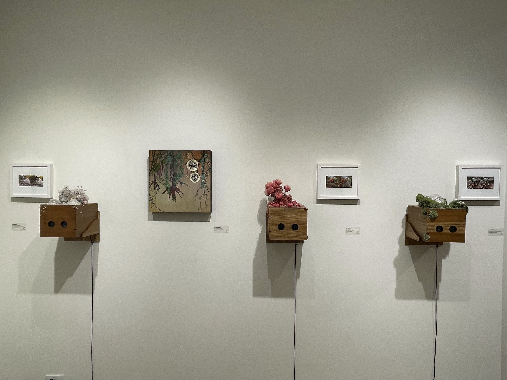 Hillary Waters Fayle | Amy Gross | Ivy Jacobsen