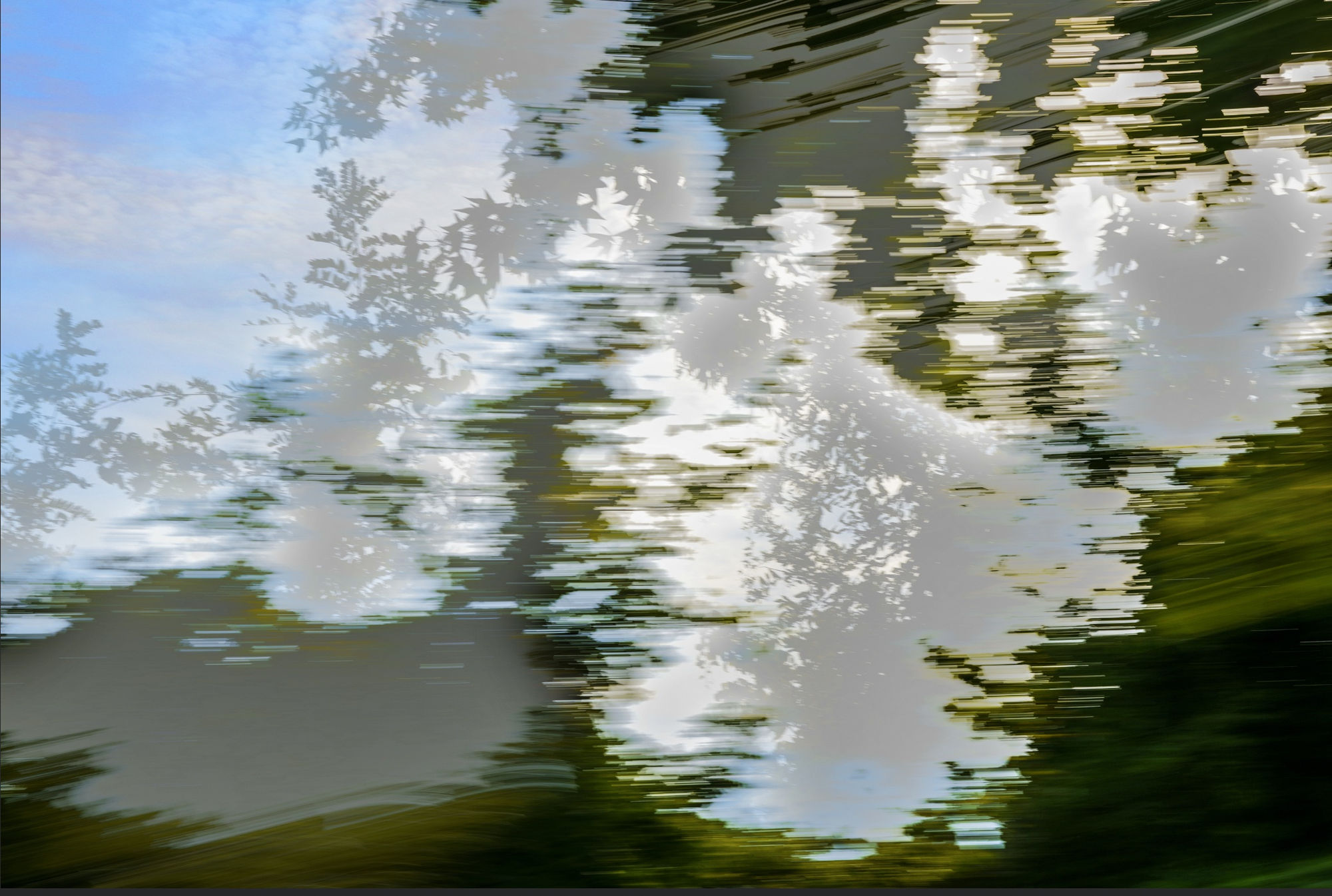 Sandy Rothberg – Close to Home