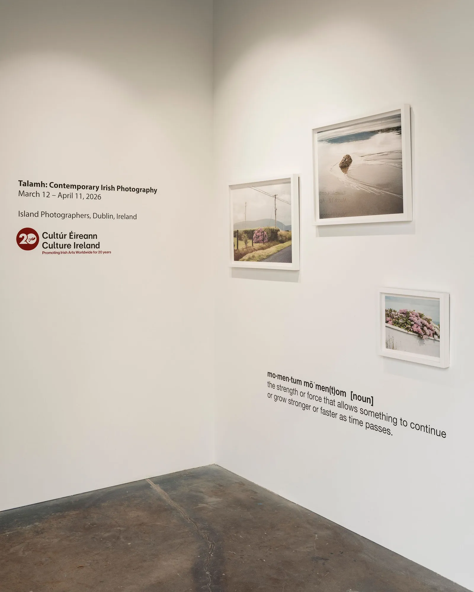 Talamh : Contemporary Irish Photography