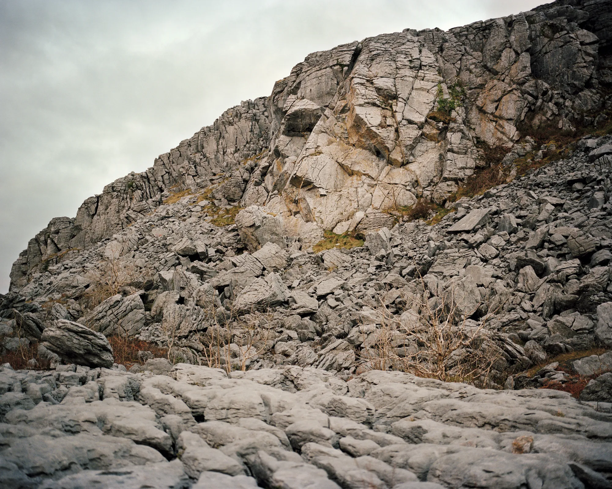 Talamh : Contemporary Irish Photography