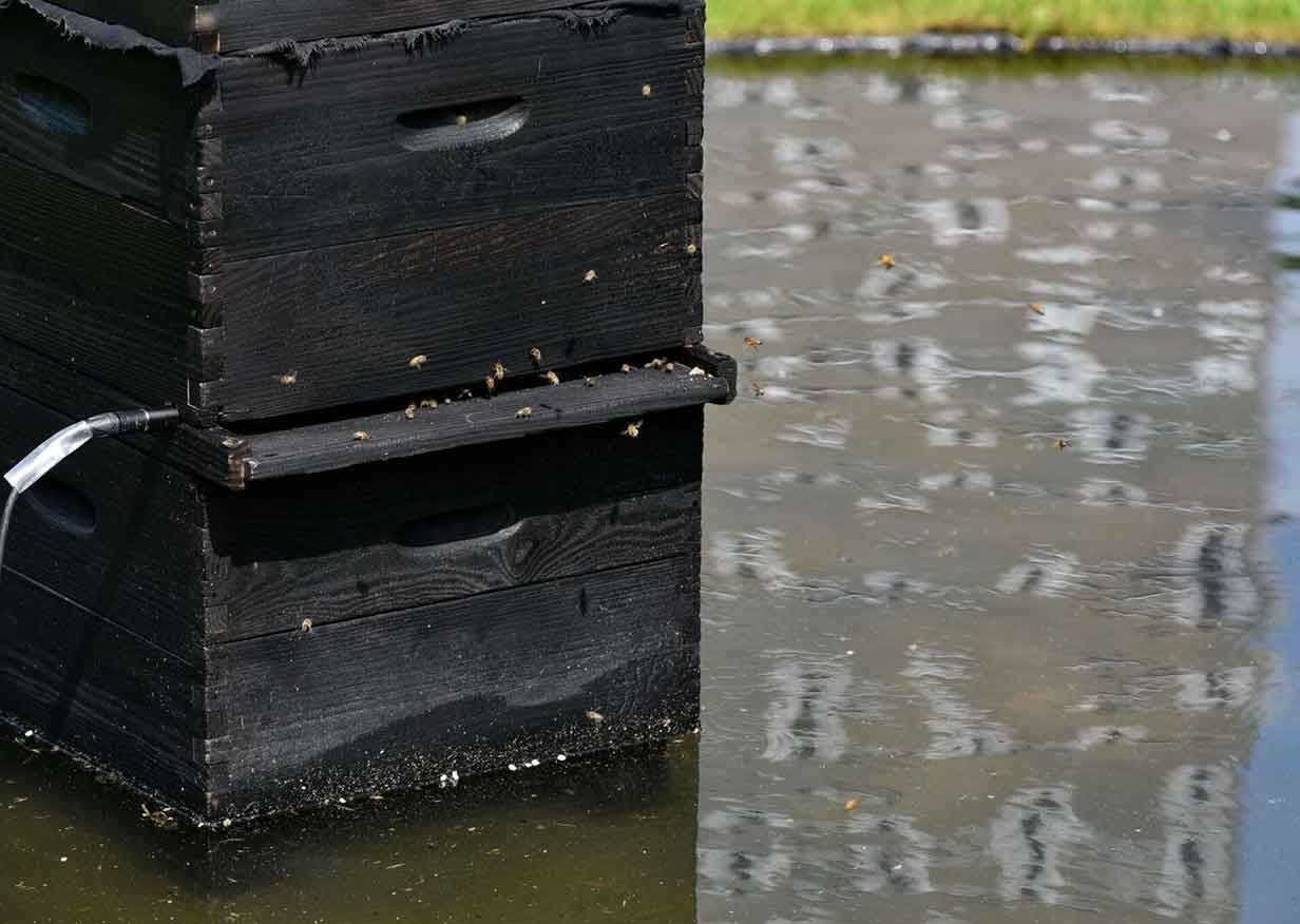 VII Biennale Herning, Socle du monde, To Challenge The Earth, The Moon & The Stars.