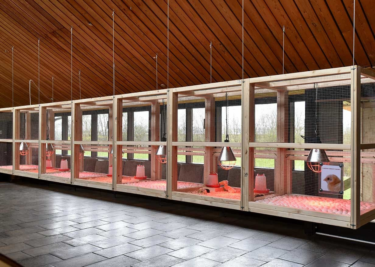 VII Biennale Herning, Socle du monde, To Challenge The Earth, The Moon & The Stars.