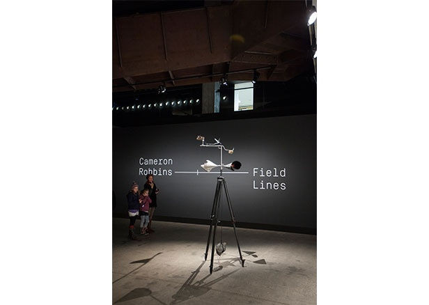 Cameron Robbins, Field Lines