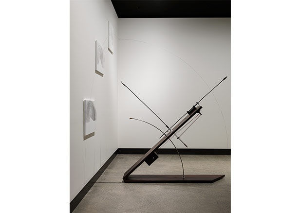 Cameron Robbins, Field Lines