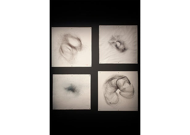 Cameron Robbins, Field Lines