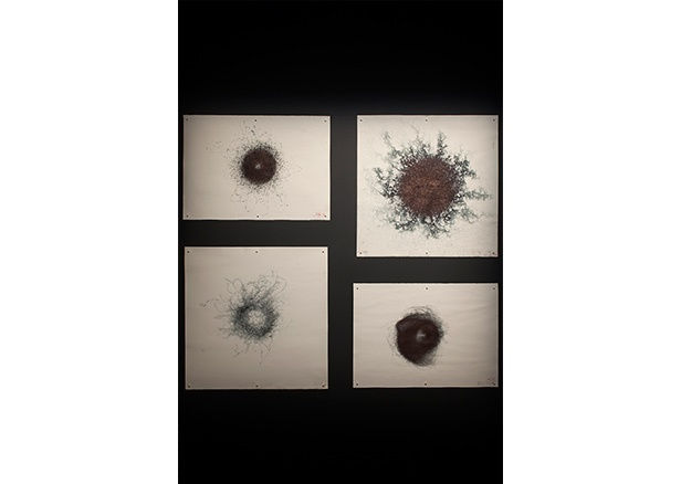 Cameron Robbins, Field Lines