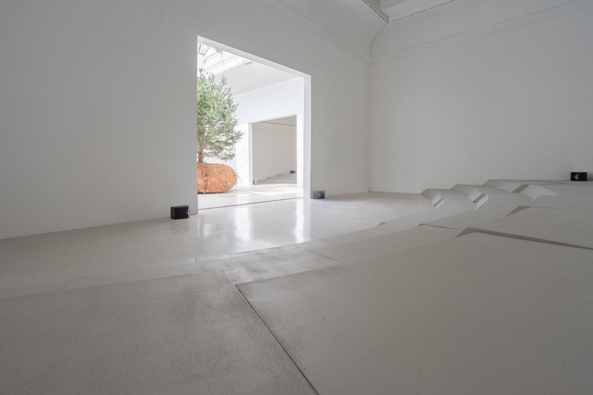 Céleste Boursier-Mougenot, Rêvolutions