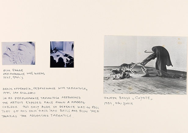 Marina Abramović, Private Archeology