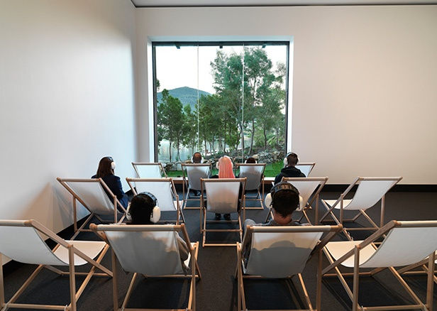 Marina Abramović, Private Archeology