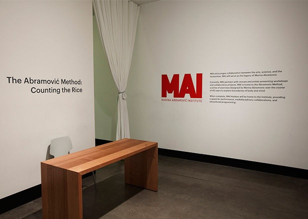 Marina Abramović, Private Archeology