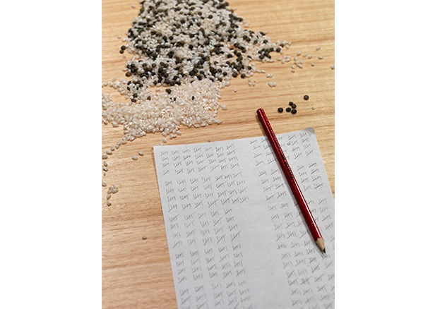 Marina Abramović, Private Archeology