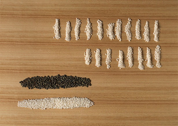 Marina Abramović, Private Archeology