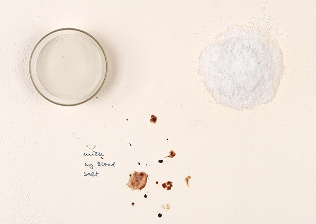 Marina Abramović, Private Archeology