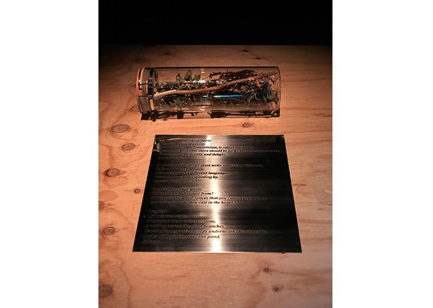 Biennale de l´Image en Mouvement (BIM)