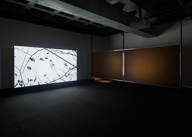 Biennale de l´Image en Mouvement (BIM)