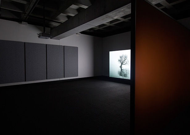 Biennale de l´Image en Mouvement (BIM)