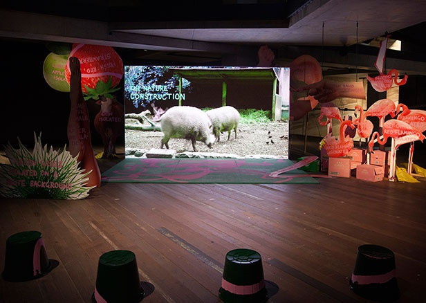 Biennale de l´Image en Mouvement (BIM)