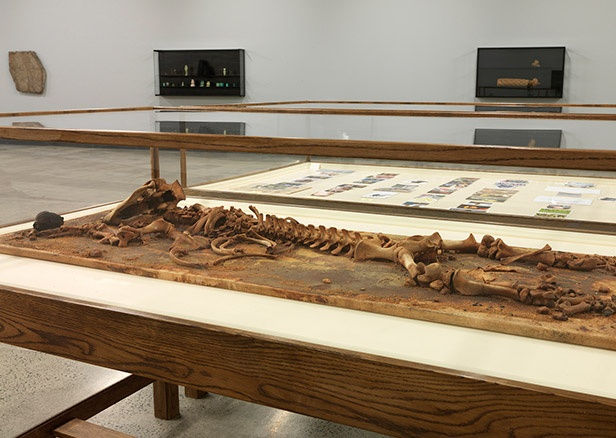 Matthew Barney, River of Fundament