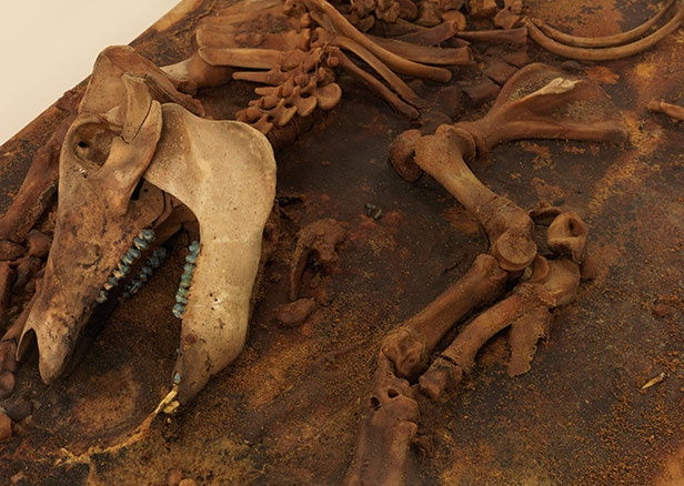 Matthew Barney, River of Fundament