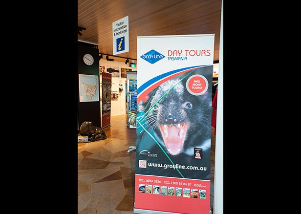 Christoph Büchel, Land of David - Poynduk: The Promised Mall