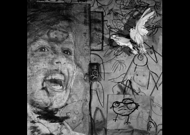 Roger Ballen, Asylum Series - Photographs, drawings, installation