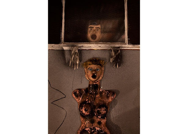 Roger Ballen, Asylum Series - Photographs, drawings, installation