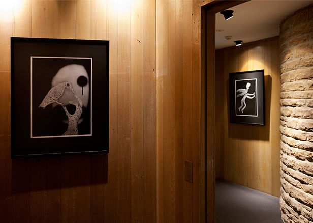 Roger Ballen, Asylum Series - Photographs, drawings, installation