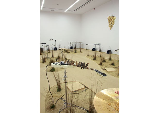 Celeste Boursier Mougenot, From Here to Ear