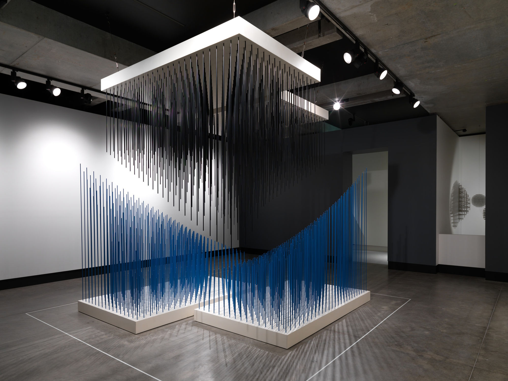 Jesus Rafel Soto, Doble progresion azul y negra