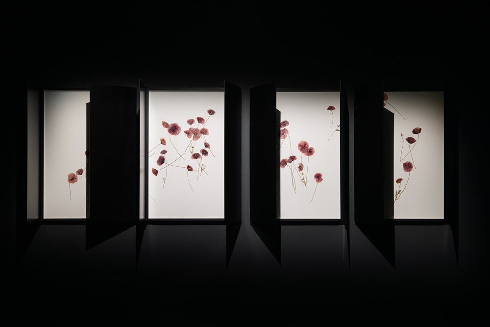 Tomas Saraceno, Oceans of air