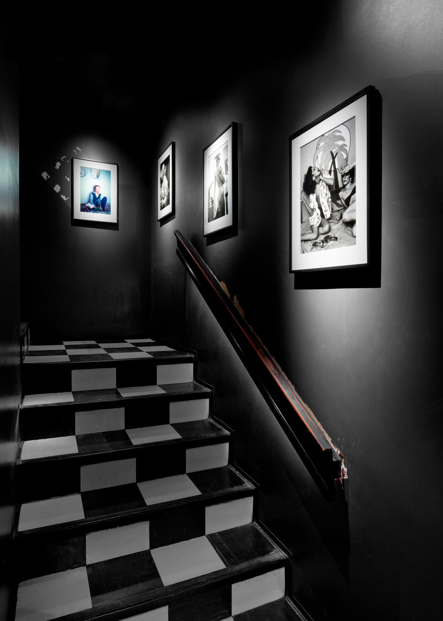 SPLENDID: An art exhibition