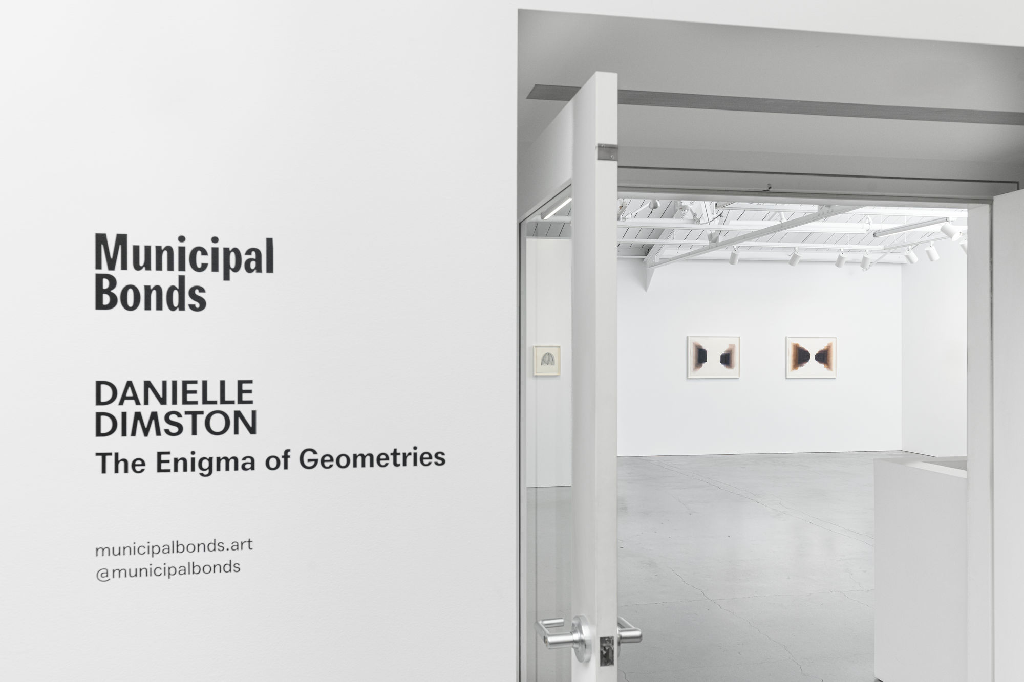 Danielle Dimston: The Enigma of Geometries