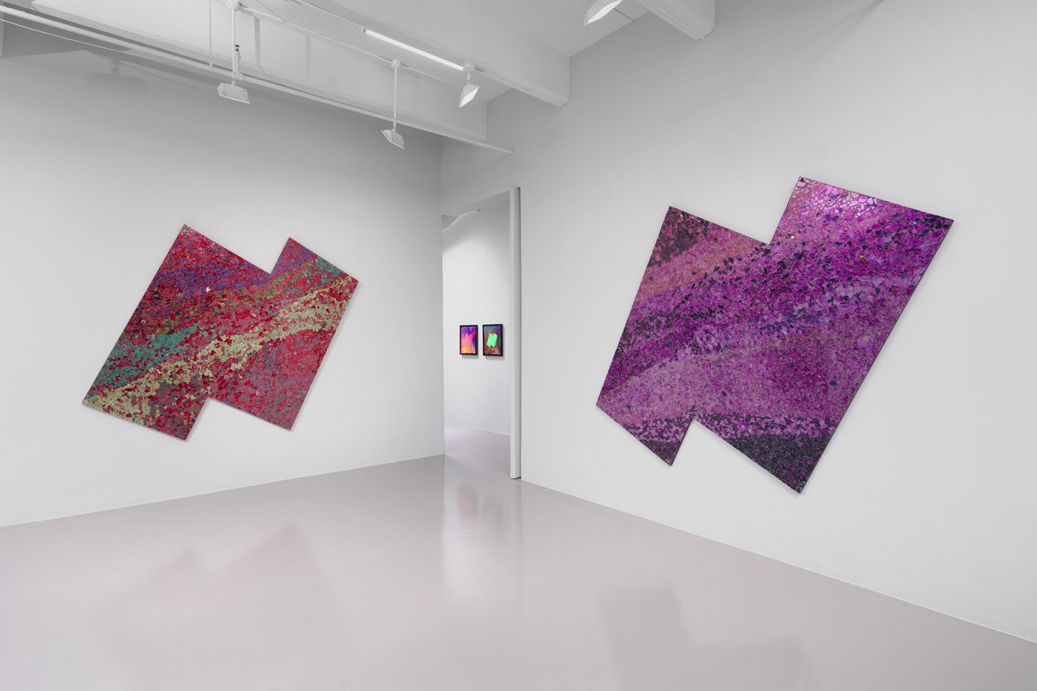 Installation view of Alteronce Gumby: Prince of the Far Rainbow