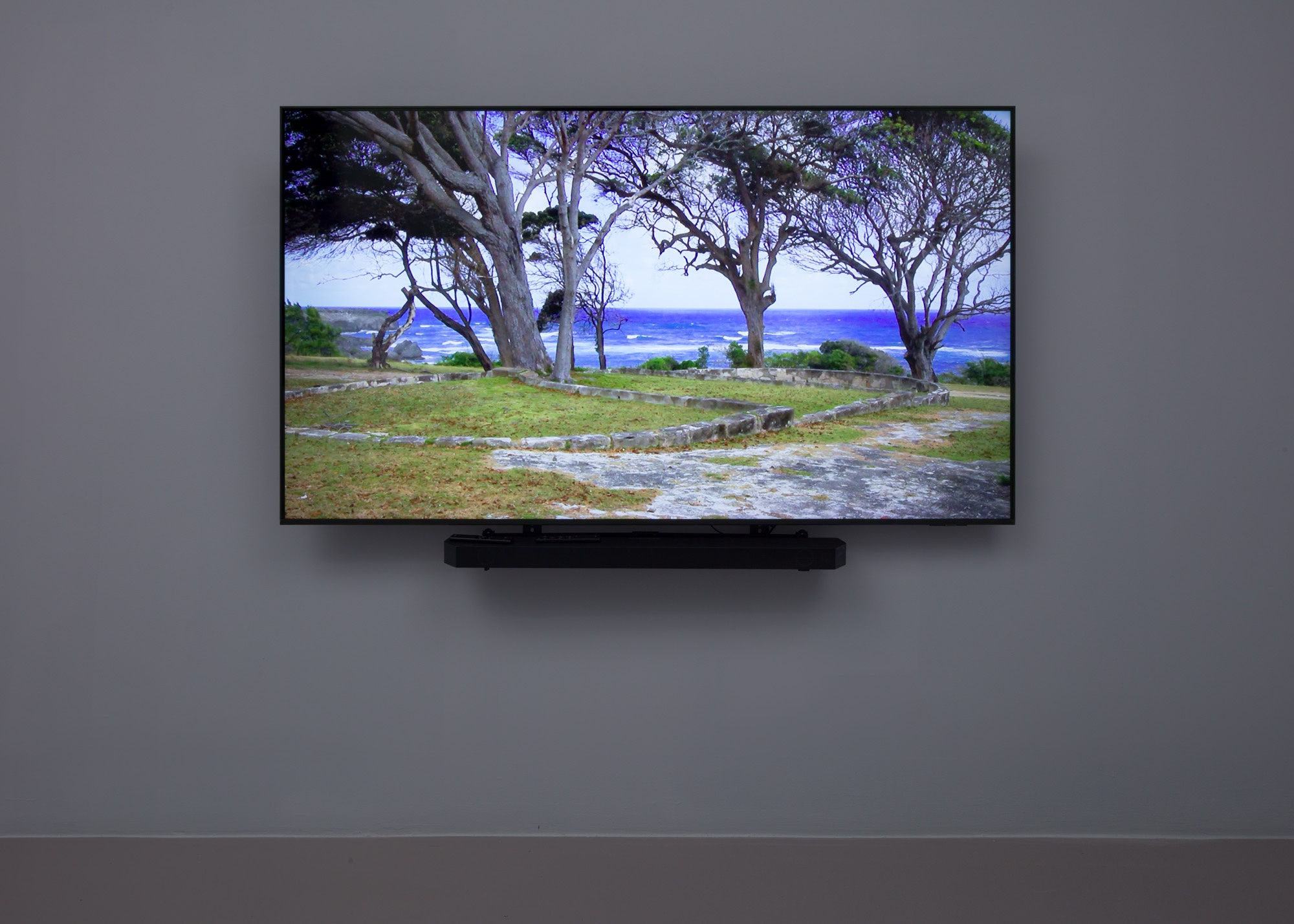 Installation view of Alberta Whittle: Towards a m̶o̶t̶h̶e̶r̶f̶u̶l̶ loving praxis, we cast seeds into the darkness at Nicola Vassell Gallery. Photo: Lance Brewer