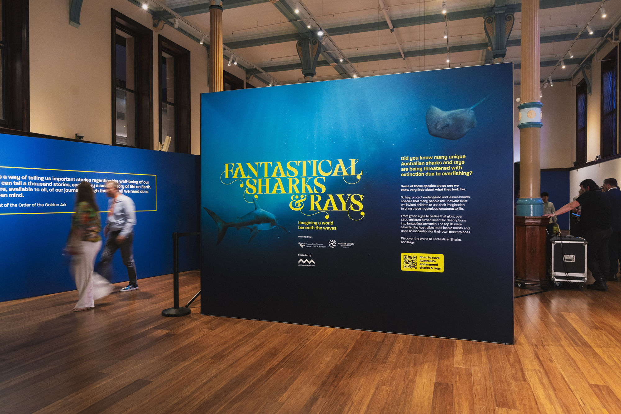 Fantastical Sharks & Rays