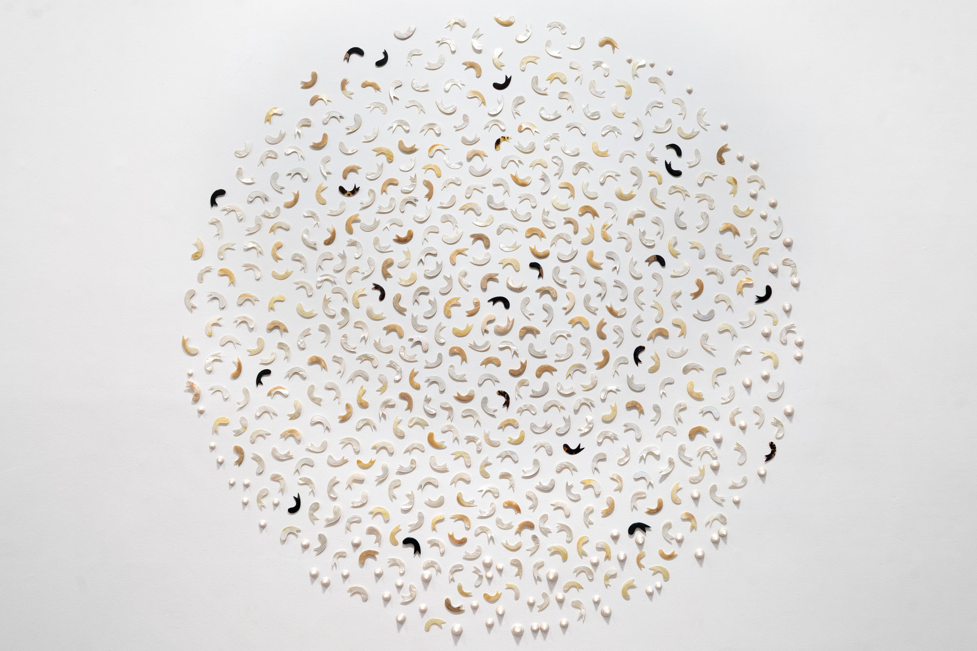 Darrell Sibosado, Niman Aarl (Many Fish) 2021-2025, installation view, Awakening Histories, Perth Institute of Contemporary Arts (PICA), 2026. Photo: Guy Louden.