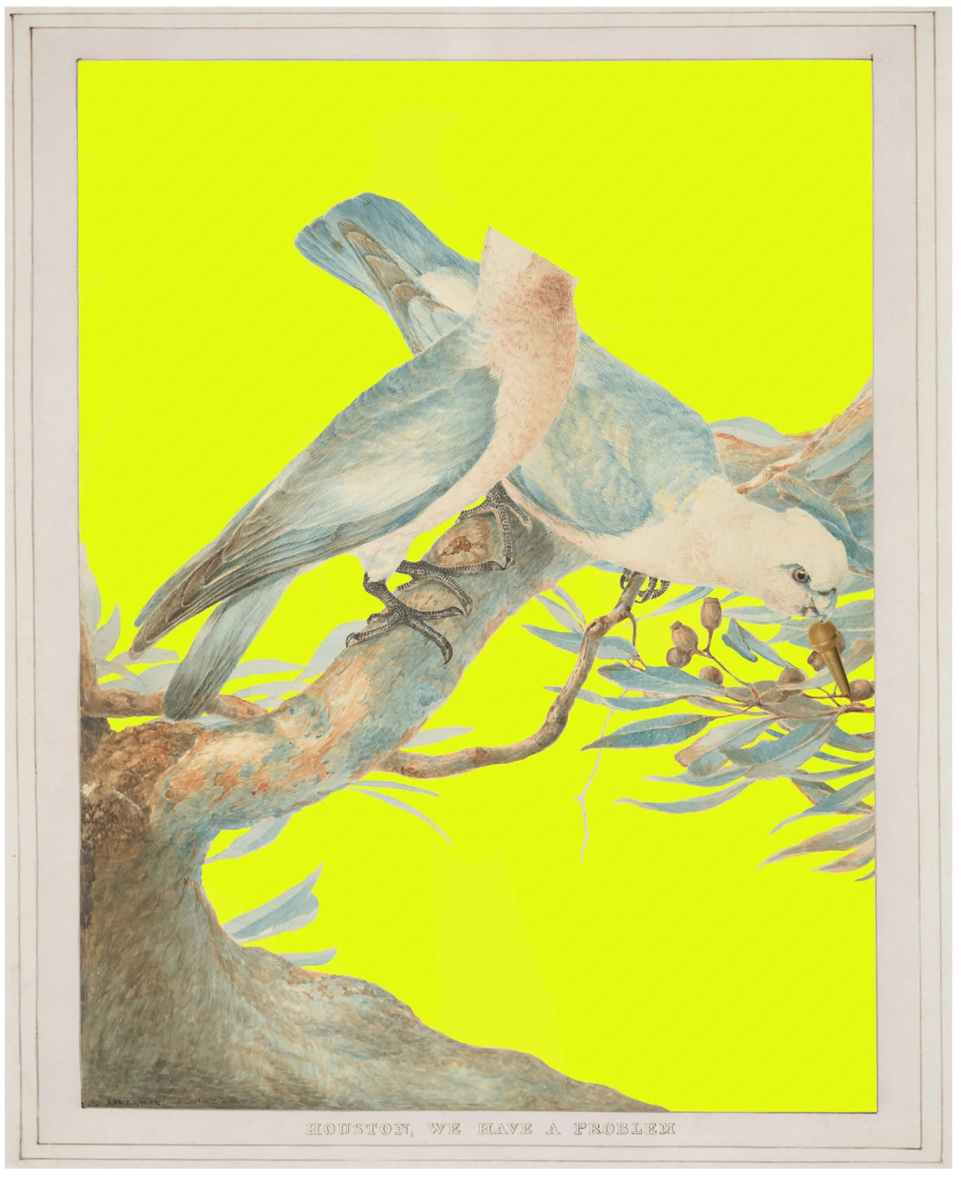 Joan Ross: I like to name everything after myself.