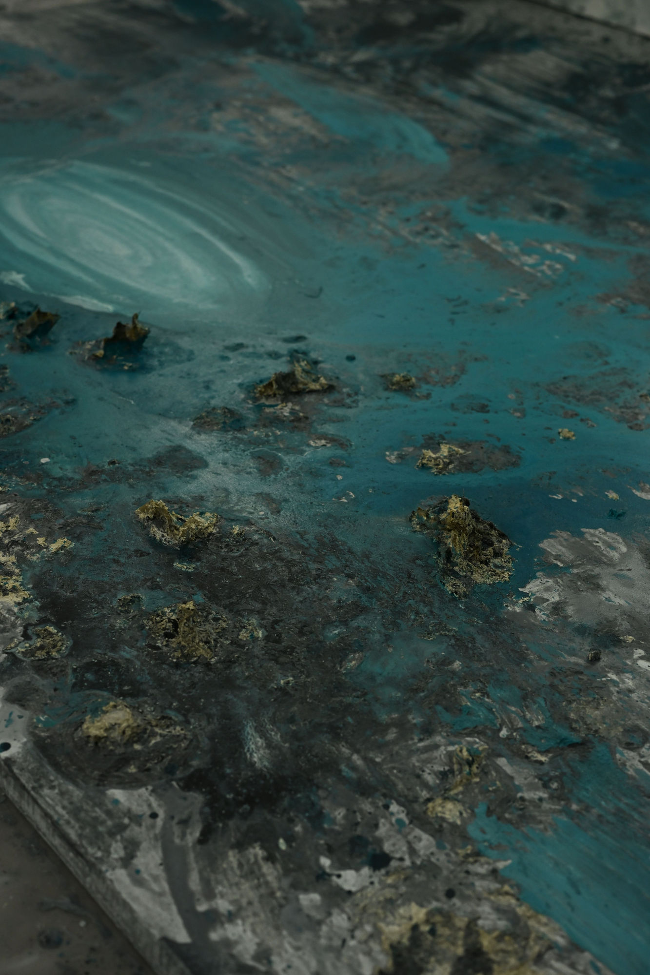 Flor Salina by Cveto Marsic