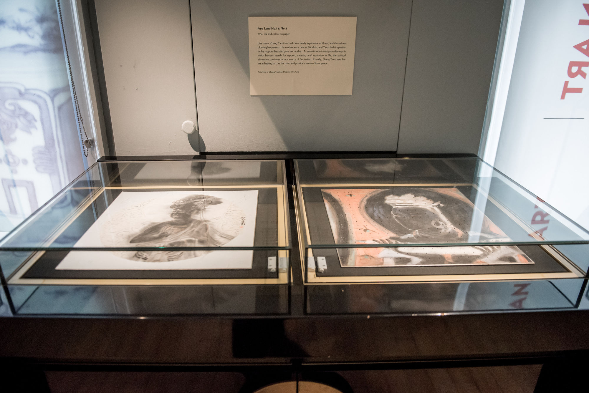 A Quest for Wellness