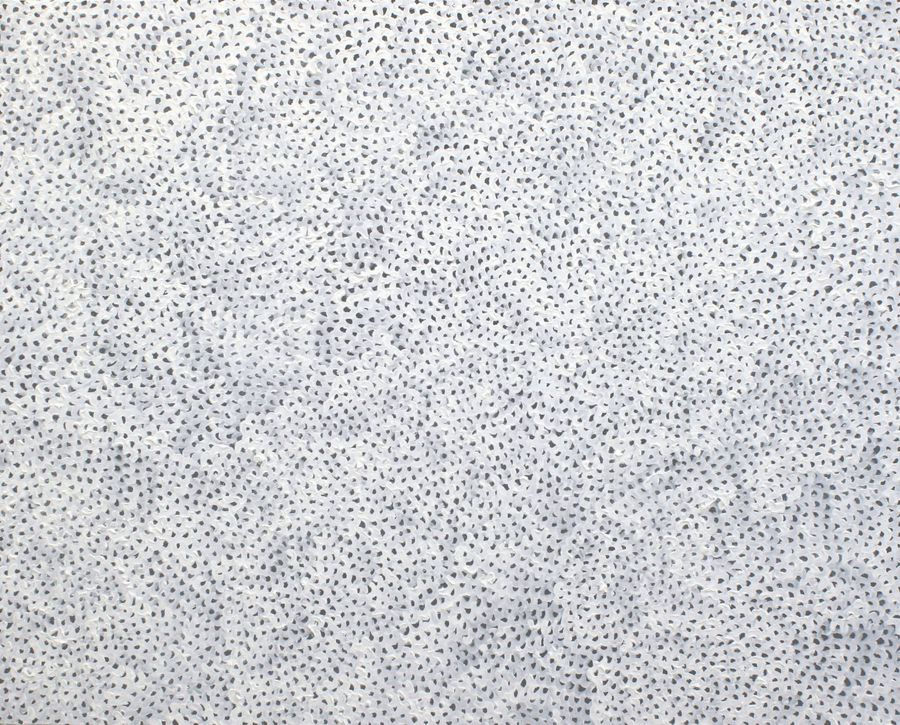 YAYOI KUSAMA Infinity-Nets TWWOQ 2006 Oil on canvas 72.7 x 91cm