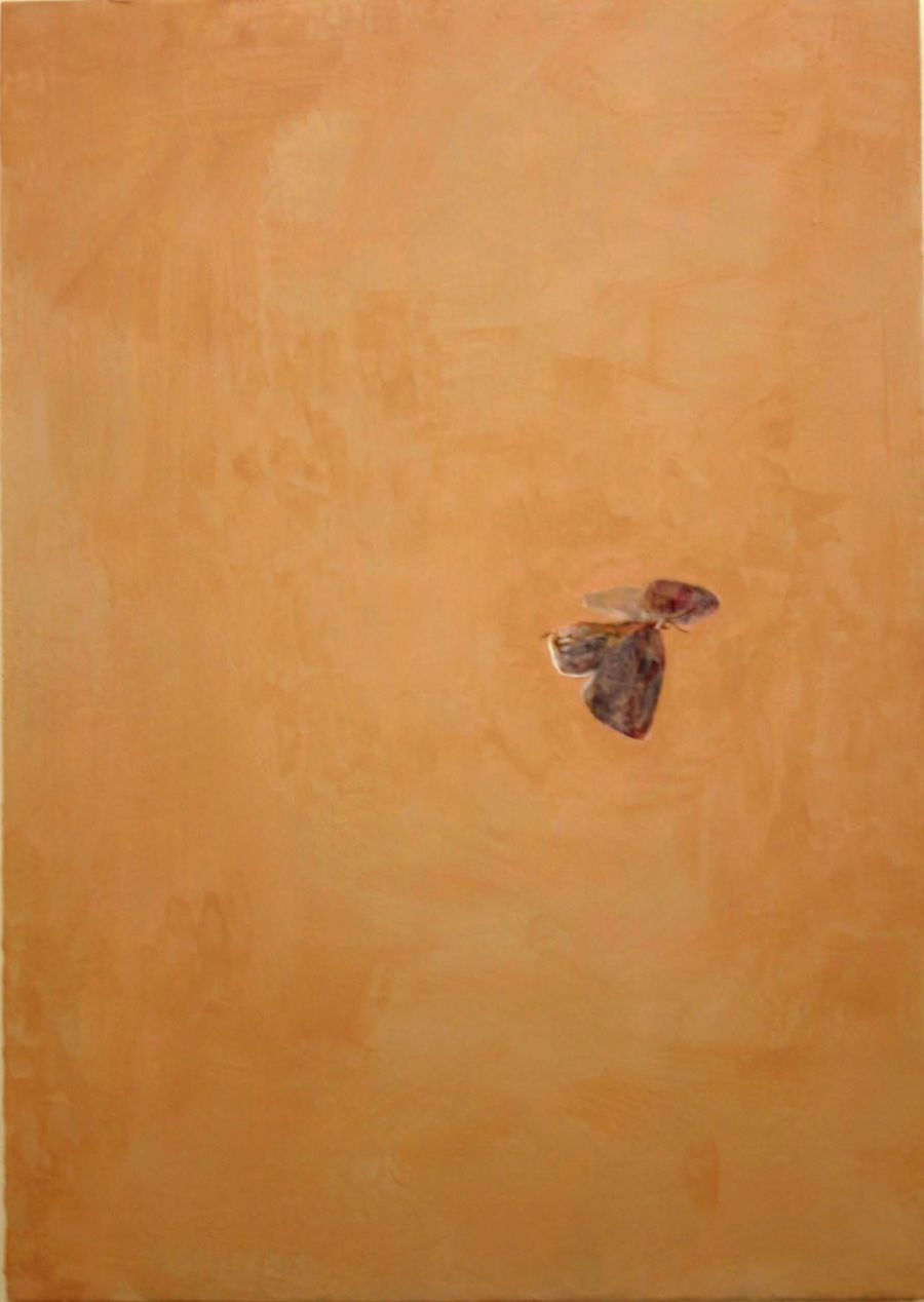 TOMOMI MAEAKAWA Chrysozephyrus hisamatsusanus, Antigius attilia 2005 Acrylic on board