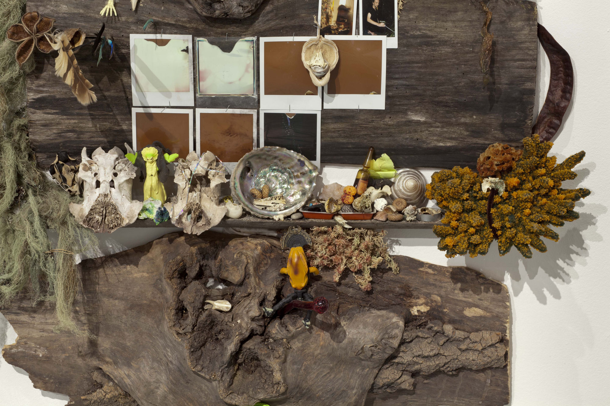 Vlad Kulkov Under volcano auspice